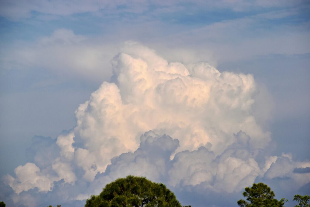 Dramatic cumulus clouds tower over trees in a summer sky in Osprey, Florida.